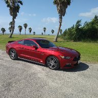 2016 GT build Coyote Red