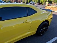 Bumblebee SS