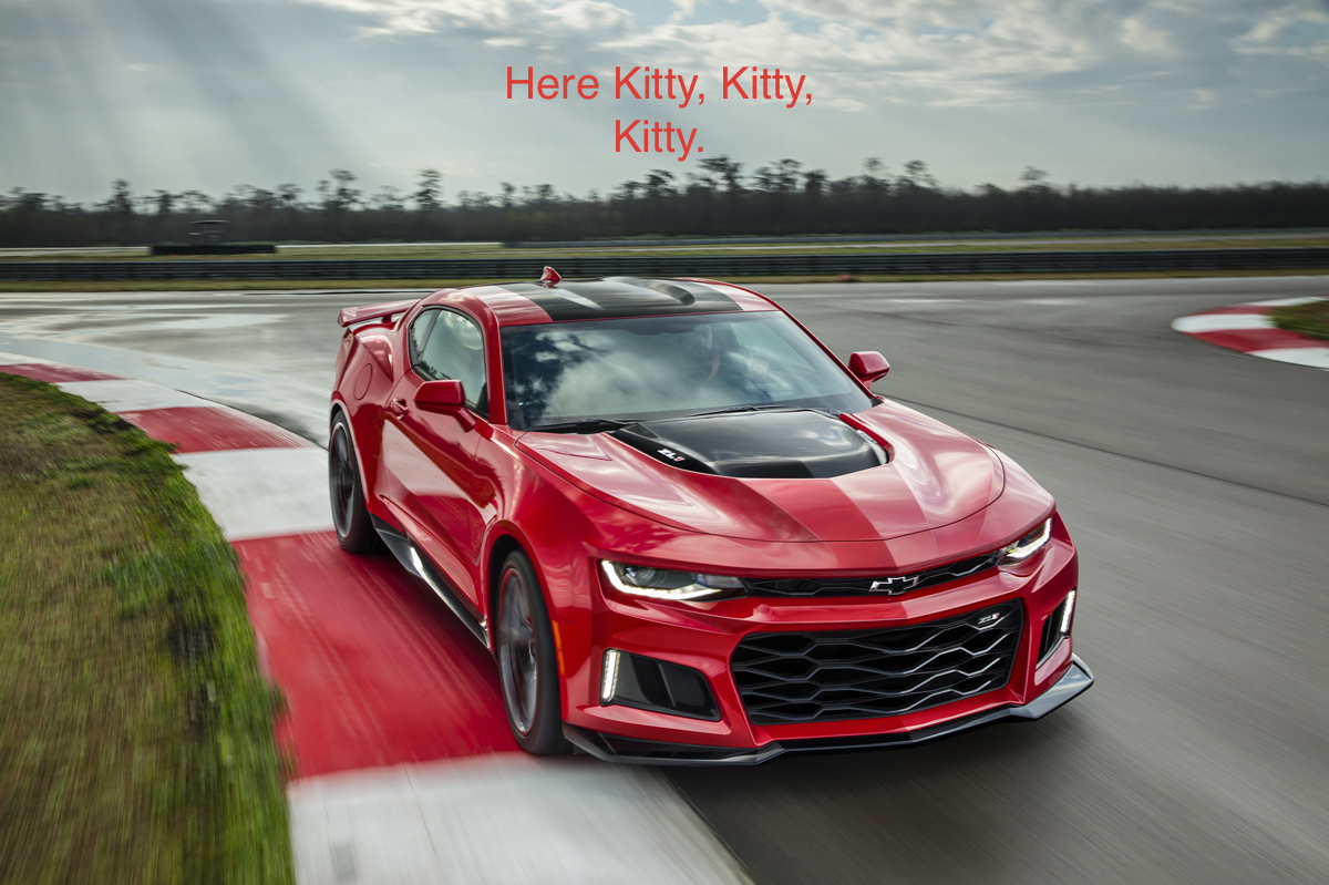 Name:  2017-Chevrolet-Camaro-ZL1-022.jpg
Views: 1069
Size:  434.8 KB